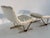 Metal Set of Lounge Chair with Fabric Ottoman, 1980s For Sale - Image 7 of 12