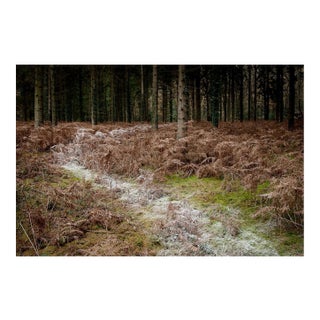Ellie Davies, Knit One, Pearl One 4, 2011, Photograph For Sale