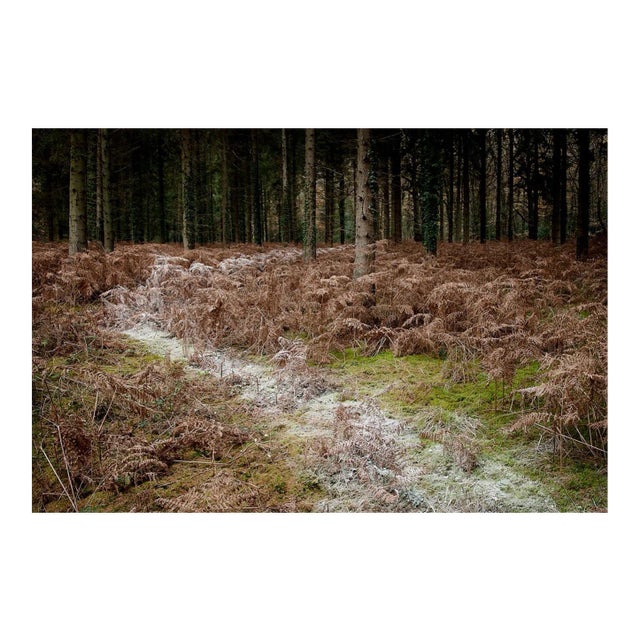 Ellie Davies, Knit One, Pearl One 4, 2011, Photograph For Sale
