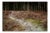 Ellie Davies, Knit One, Pearl One 4, 2011, Photograph For Sale