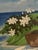 Late 20th Century John Kiraly Signed Limited Edition Serigraph 167/300, Tropical Island Doorway, Framed For Sale - Image 5 of 7
