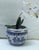 Classic Blue and White Collection Bundle of Vases For Sale - Image 9 of 12