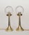 Art Nouveau Table Lamps in Brass and Glass, 1890s, Set of 2 For Sale - Image 6 of 6