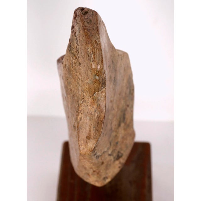 1970s Venus, Modern Abstract Figurative Sculpture #37 by Doris Warner For Sale - Image 9 of 13