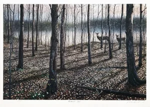 Jake Vandenbrink Hardwood Trail Lithograph on Paper