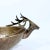Brass Hand Pounded Deer Head Bowl For Sale In West Palm - Image 6 of 7