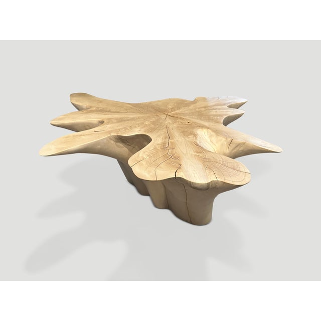 Andrianna Shamaris Amorphous Bleached Teak Wood Coffee Table For Sale - Image 4 of 18