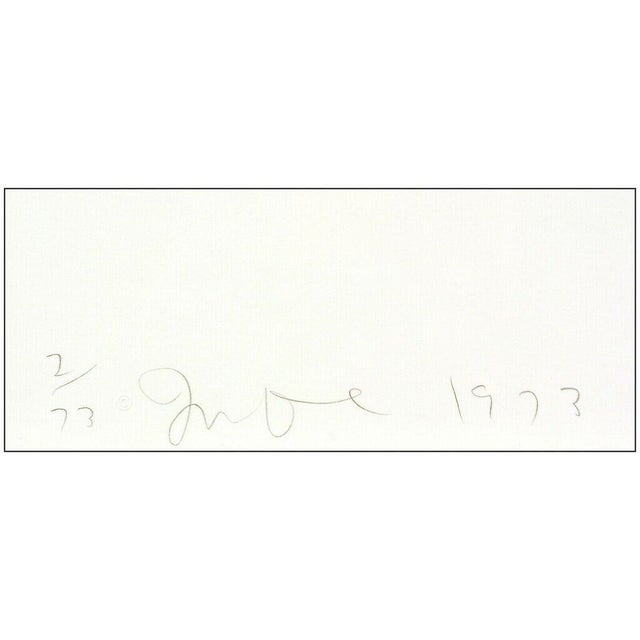 1970s 1970s Plate 3, from Four German Brushes, Jim Dine For Sale - Image 5 of 6