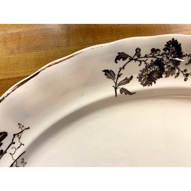 Antique Brown Transferware "Daisy" Pattern Platter For Sale In Santa Fe - Image 6 of 8