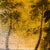 After Claude Lorrain, Landscape, 1800s, Oil on Canvas For Sale - Image 4 of 15