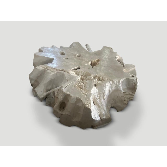 2010s Andrianna Shamaris Bleached Teak Wood Root Coffee Table For Sale - Image 5 of 5