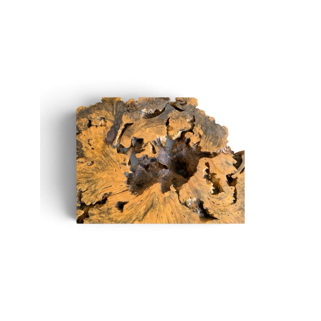 Signed 1970s California Studio Craft Live-Edge Buckeye Burl Root Mushroom Coffee Table "Flight Into Freedom" For Sale In Palm Springs - Image 6 of 7