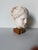 Vintage Handcrafted Hygieia Greek Goddess Plaster Bust Sculpture on Wood Base For Sale In Miami - Image 6 of 12
