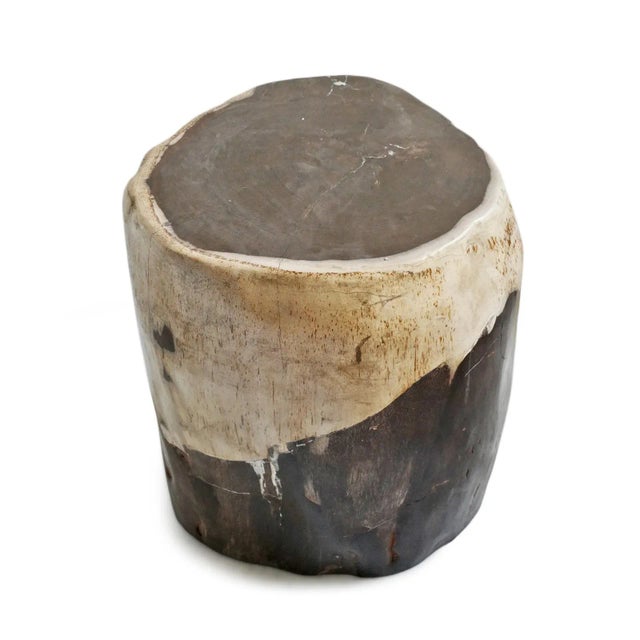 Contemporary Vintage Petrified Wood Stump Side Table For Sale - Image 3 of 8