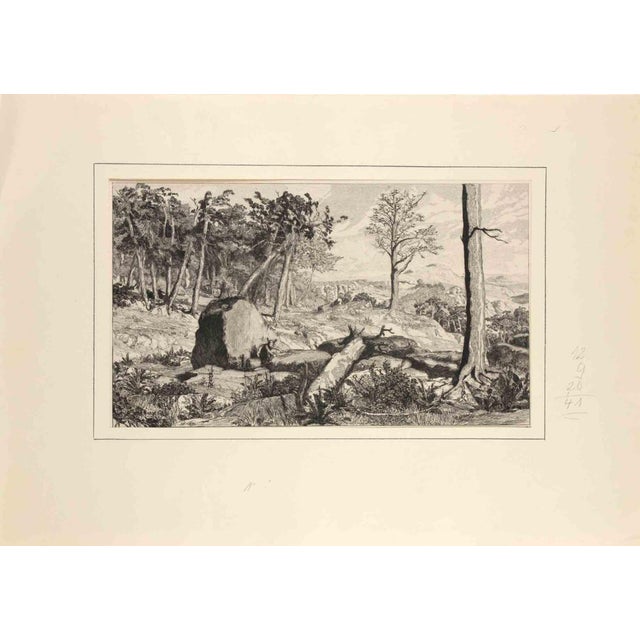 Max Klinger, Opus IV, Simplicius in der Waldeinode, Etching, 1881 For Sale - Image 3 of 3