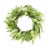 Enhance your entryway with the vibrant charm of the Mixed Fern Foliage Wreath. Measuring 27.5 inches in diameter, this...
