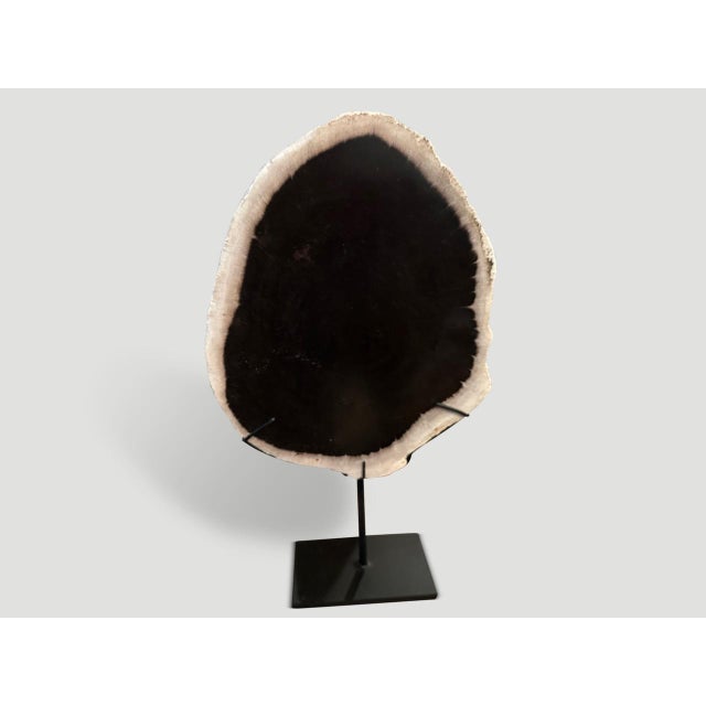 Andrianna Shamaris Minimalist Petrified Wood on Stand For Sale - Image 4 of 5
