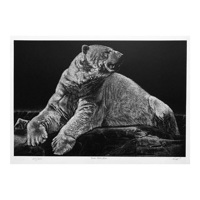 1990s Robert Pow Male Polar Bear Print For Sale