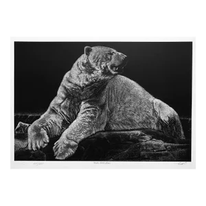 1990s Robert Pow Male Polar Bear Print