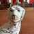 A Very Nice Pair of Antique Staffordshire Dalmatian Figures, Circa 1870 For Sale - Image 6 of 18
