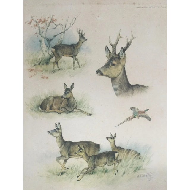 Georges Frédéric Rötig, Study of Deer, Hand-Signed Etching For Sale