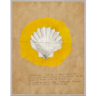 Shell 1 Art Print in Acrylic Box Frame by Paule Marrot For Sale