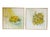 Signed Dorothy Malan Original Floral Still Life Paintings – Matched Pair | Michigan Artist | Vintage Impressionist Artwork...