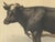 After Charles Olivier de Penne, Dutch Dairy Cow, Black and White Cattle, 1863, Chromolithograph For Sale - Image 4 of 9