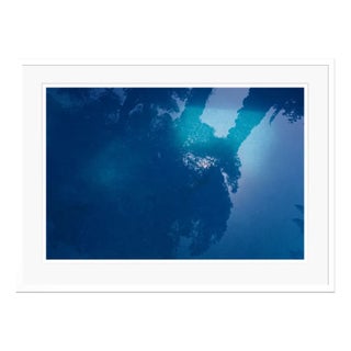 Stuart Möller, Blue, 2020, Colour Photograph For Sale