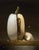 Asunder by Blair Atherholt | Oil on Panel Still life of a halved white pumpkin with seeds For Sale