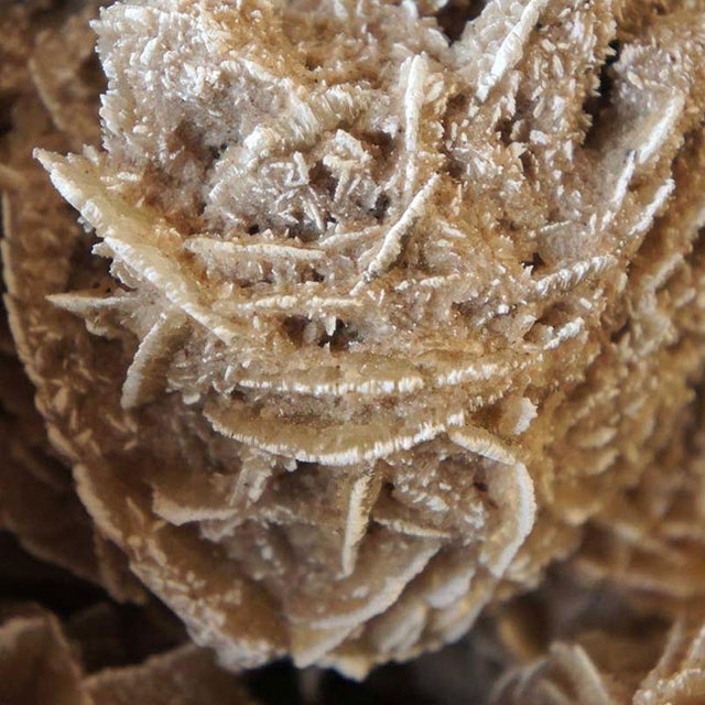 Late 20th Century Late 20th Century Very Large Selenite Desert Rose Crystal Cluster Rock Formation For Sale - Image 5 of 11