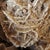 Late 20th Century Late 20th Century Very Large Selenite Desert Rose Crystal Cluster Rock Formation For Sale - Image 5 of 11