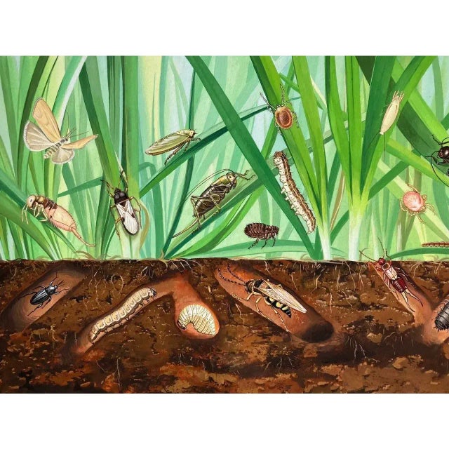 Realism Vintage 1981 Diazinon Banned Pesticide Ad Art – Original Watercolor (Creepy/Oddities) For Sale - Image 3 of 9