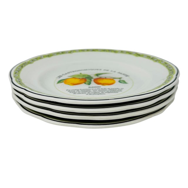 Rare 1990s Gien France "Les Gastronomiques De La Santé" Fruit Plates - Set of 4 For Sale In Tampa - Image 6 of 10