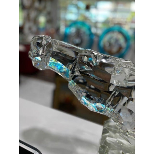 Amazing Murano Glass Horse Head by Pino Signoretto For Sale - Image 4 of 14