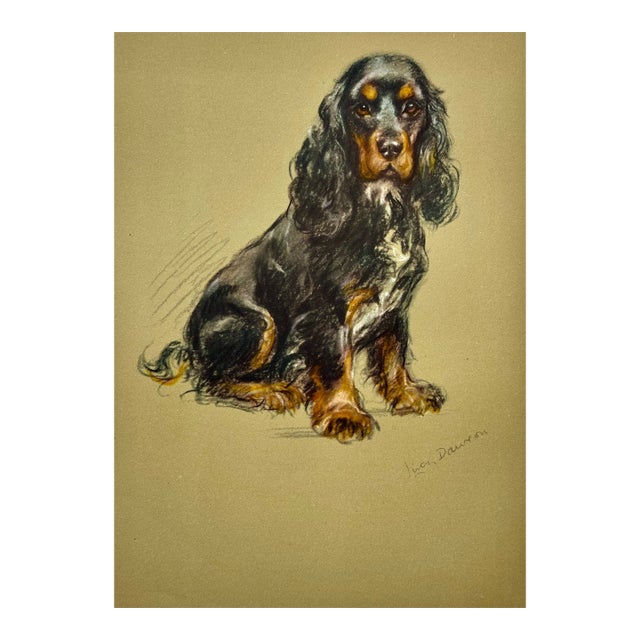 Cocker Spaniel by Lucy Dawson, 1946 For Sale