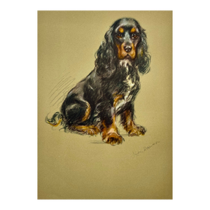 Cocker Spaniel by Lucy Dawson, 1946