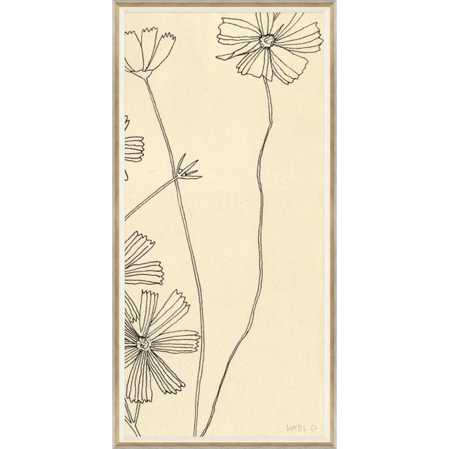 Cosmos III Framed Art Print by Susan Hable For Sale