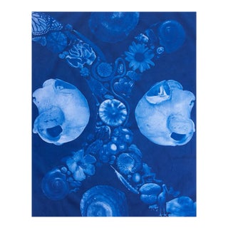 Naturalistic Conceptual Photographic Print, "Polyphony" For Sale