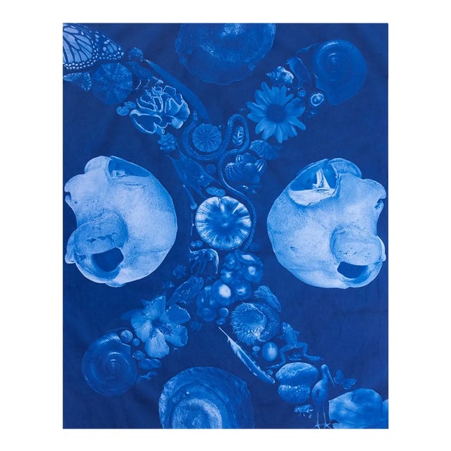 Naturalistic Conceptual Photographic Print, "Polyphony" For Sale