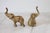 Mid-Century Modern Vintage Brass Elephant Figurines For Sale - Image 3 of 9