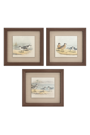 Antique Framed Shorebird Prints From the Birds of North America by Jacob H. Studer - Set of 3