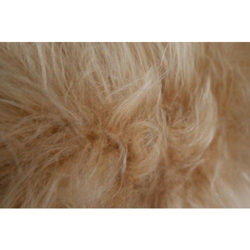 Art Deco Lounge Chair in Icelandic Sheepskin and Bentwood from Jindřich Halabala, 1940s For Sale - Image 10 of 11