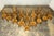 French Provincial Set of 14 Mid-19th Century French Provincial Petite Maple Rush Seat Dining Chairs For Sale - Image 3 of 18
