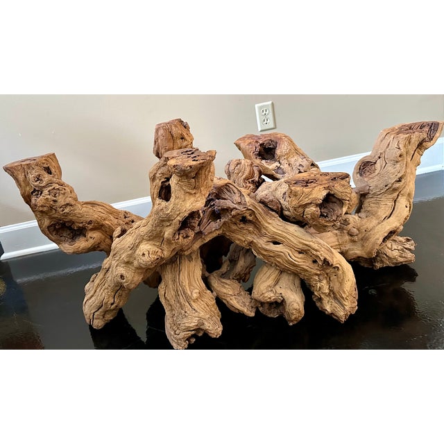Organic Sculptural Grapevine Root Coffee Table, Studio Craft, Glass Top For Sale - Image 4 of 9