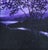 Vintage American 20th C Framed Oil Painting Nocturnal Landscape River & Forest For Sale In New York - Image 6 of 16