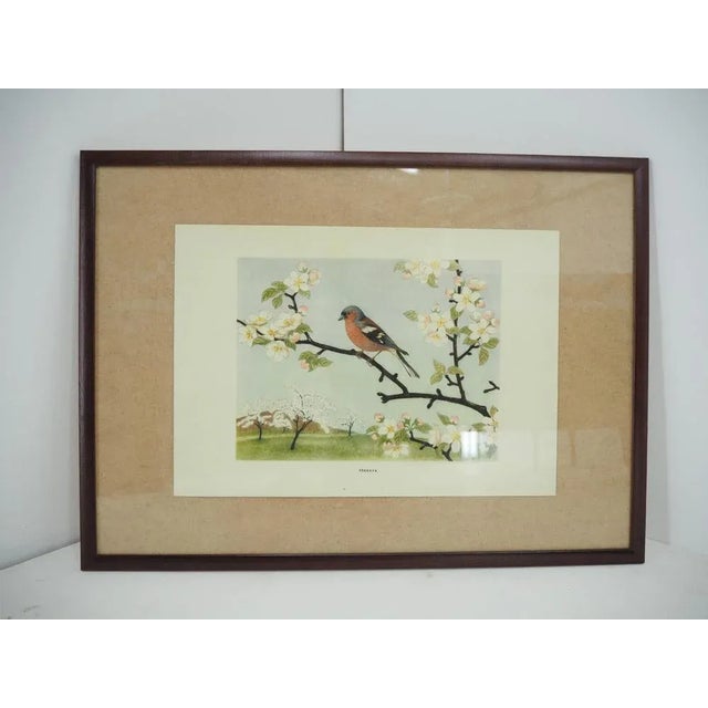 In new frame Poster from midcentury In original condition.