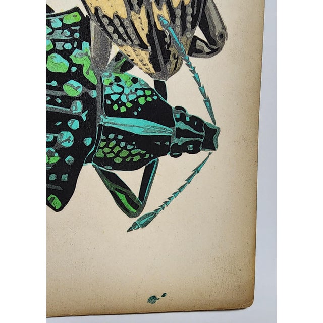 1920s Original Seguy Insect From 1924 Antique Pochoir Plate #14 For Sale - Image 5 of 12