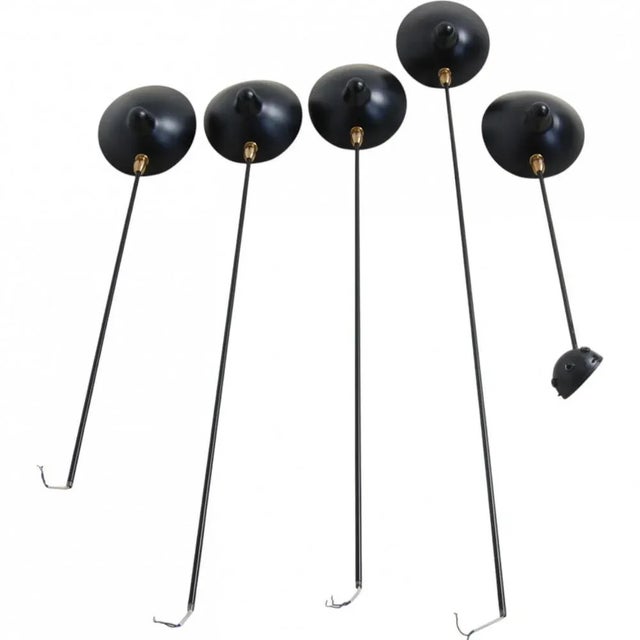 5-Arm Spider Lamp by Serge Mouille For Sale - Image 9 of 17