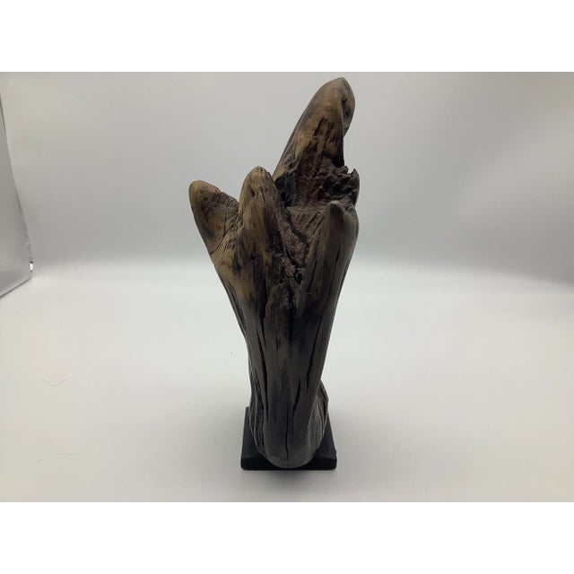 Late 20th Century Driftwood Sculpture For Sale - Image 11 of 13